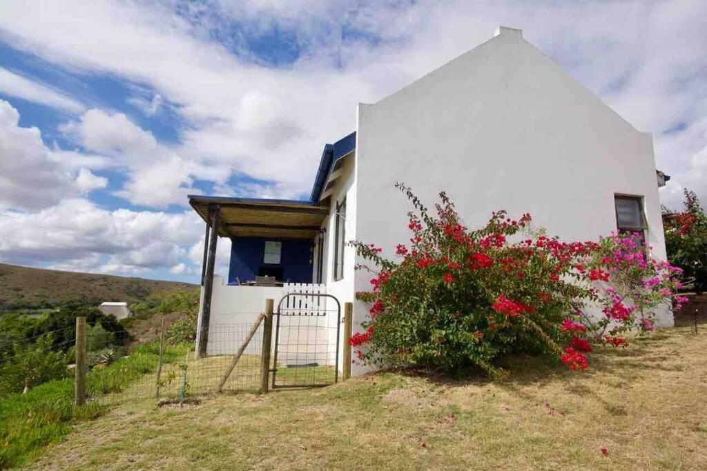 Riverdance Cottage Malgas Extérieur photo